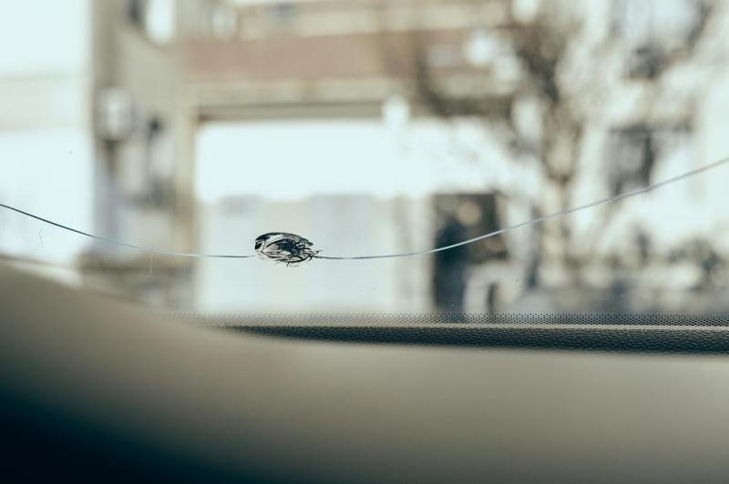 Impact sur votre pare-brise ? D&eacute;couvrez les services de r&eacute;paration &agrave; MUILLE-VILLETTE